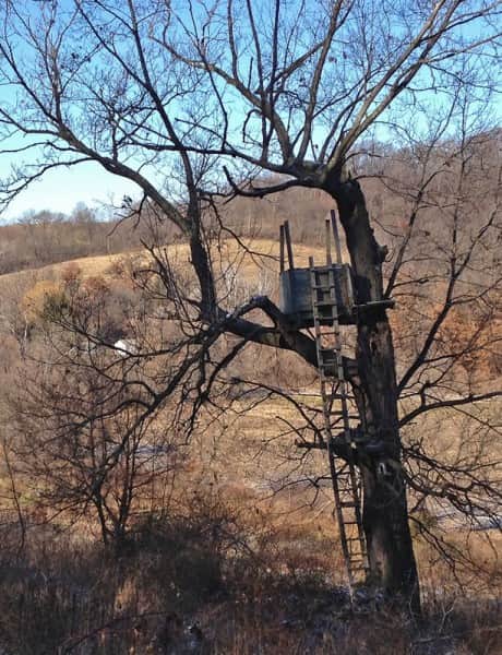 The author built this box stand in 1989 and last hunted from it in 2013.