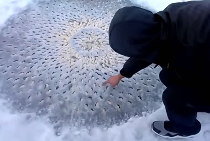 We wouldn't touch it in your shoes. Image from YouTube.