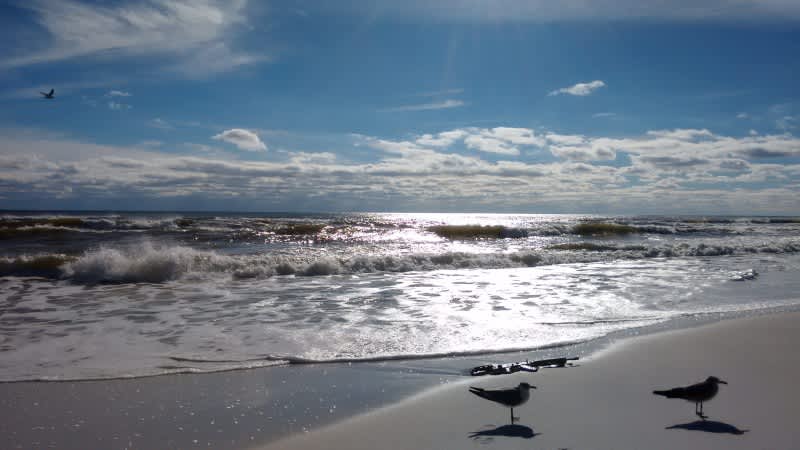 Gulf Islands National Seashore, outside of Pensacola, Florida.