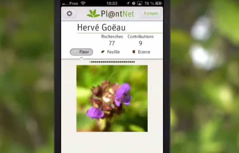 is like Shazam for Plants OutdoorHub