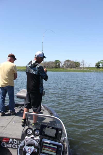 When you catch a walleye in the weeds, set the hook hard and get the fish moving toward the surface. This minimizes the chances of losing it in a ball of weeds.