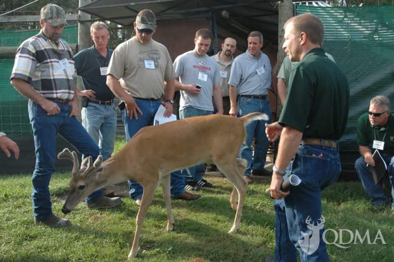 A great deal of information about whitetail biology is available through the program.