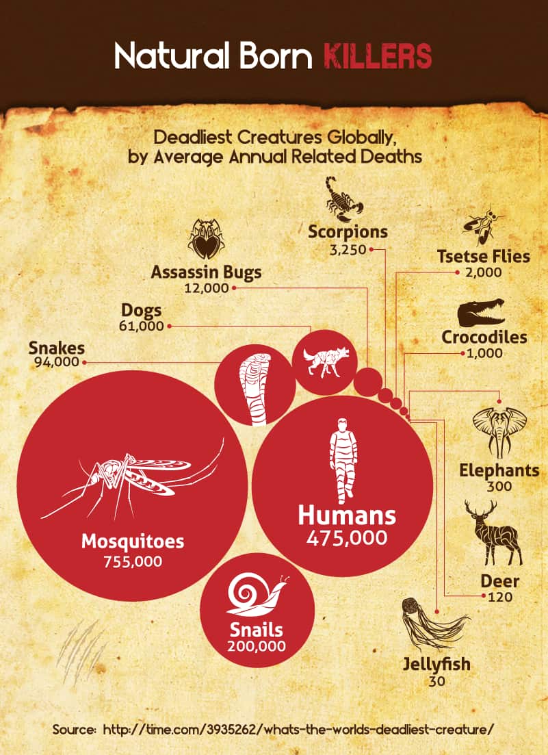 Image Courtesy - https://latestcasinobonuses.com/man-vs-beast