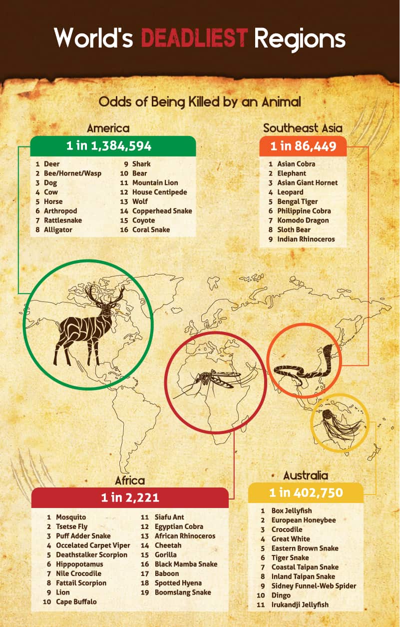 Image Courtesy - https://latestcasinobonuses.com/man-vs-beast