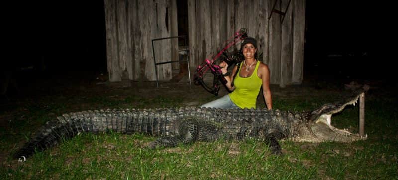 gator-3 Bachman