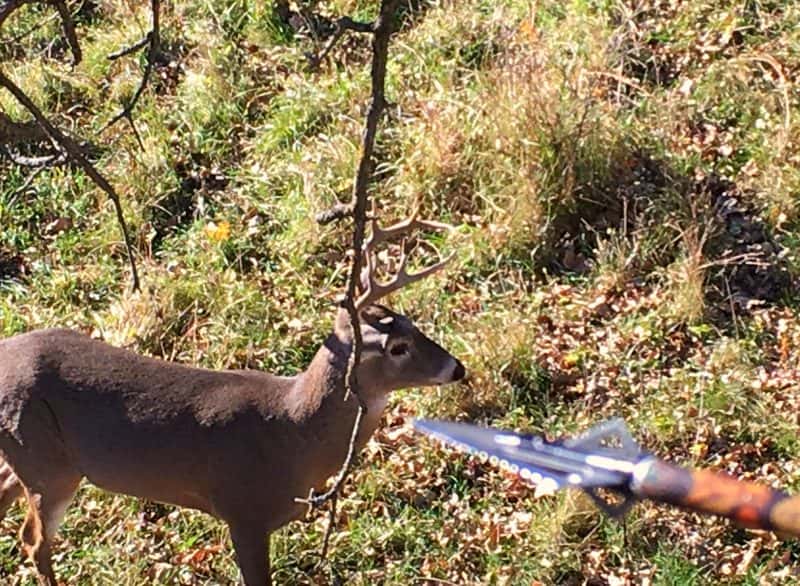 This young 4x4 is lucky he's not a bit older.