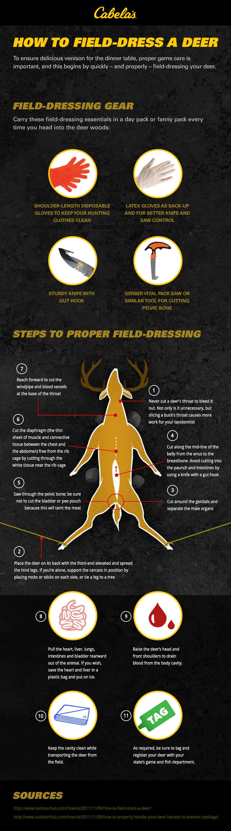 INFOGRAPHIC The BEST Way to FieldDress a Deer OutdoorHub
