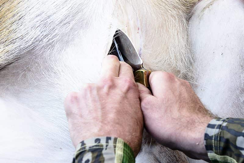 Deepening the initial dressing cut