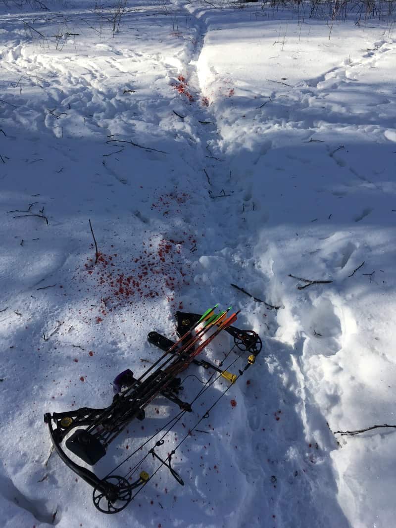 Happiness is an easy-to-follow blood-trail.