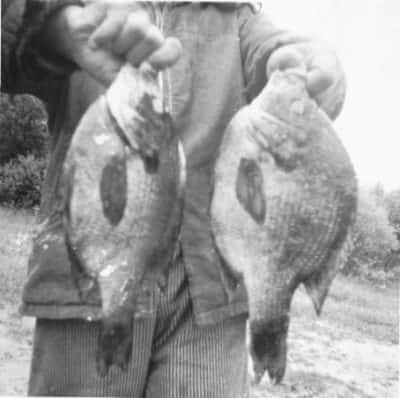 The author's grandpa knew how to fool giant gills.