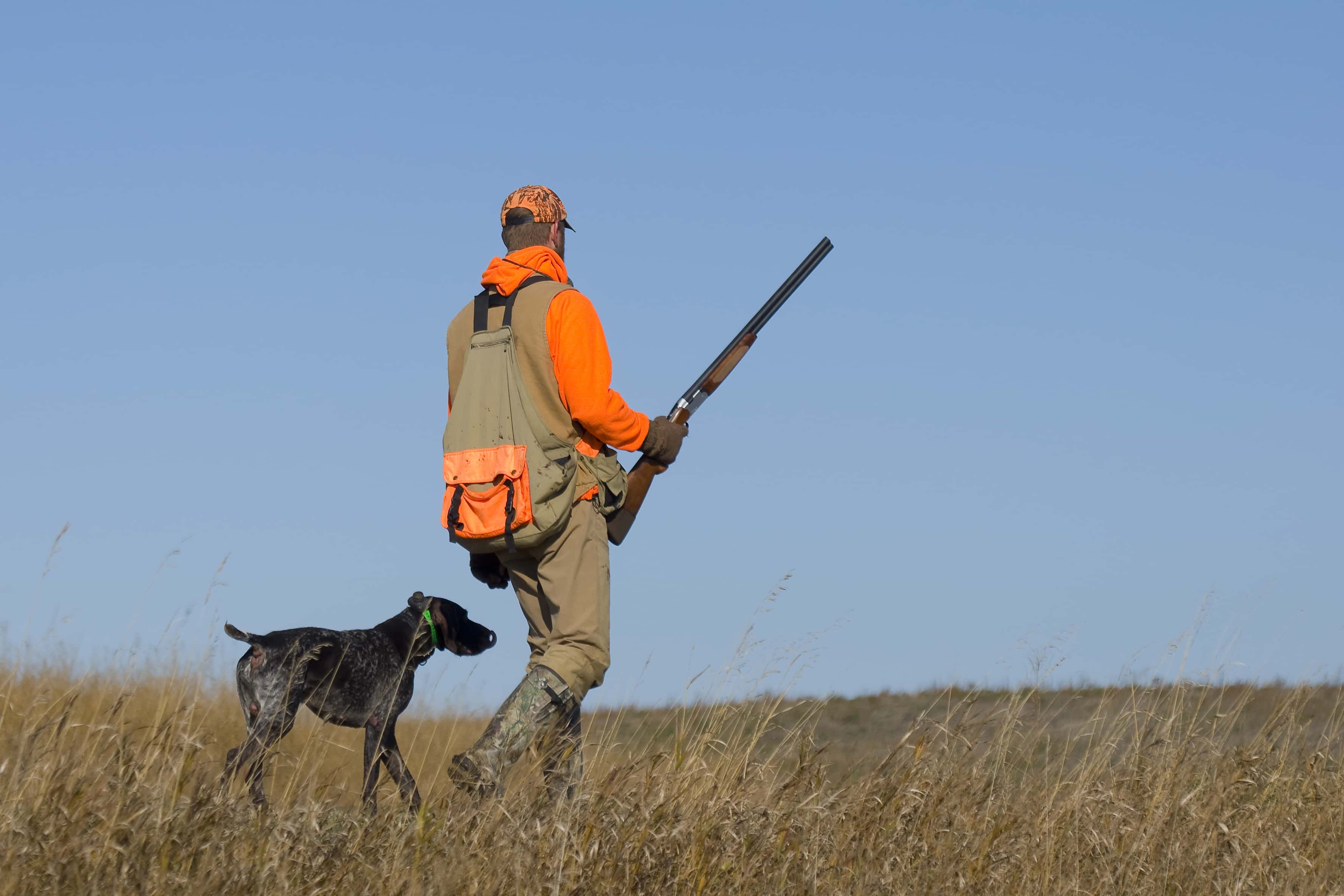 The Grouse Hunting Gear You Need To Have For This Fall OutdoorHub