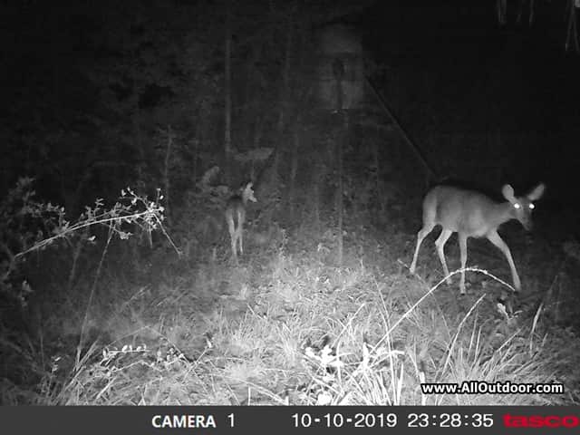 tasco-night-trail-camera