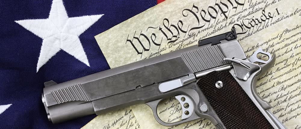 Defend Gun Rights