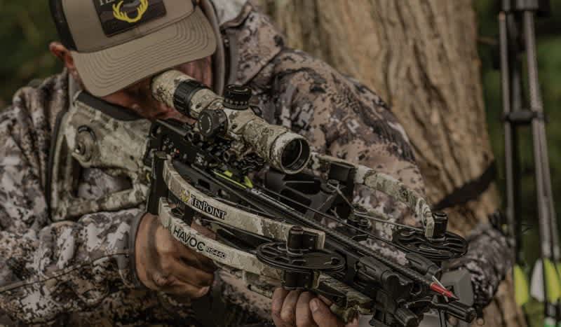Five of the Best Crossbows You Can Buy
