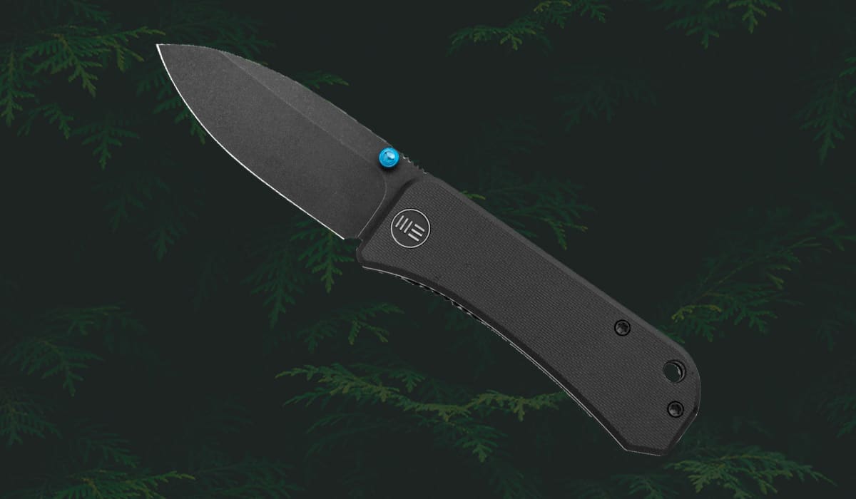 WE Knives Banter Liner Lock Knife
