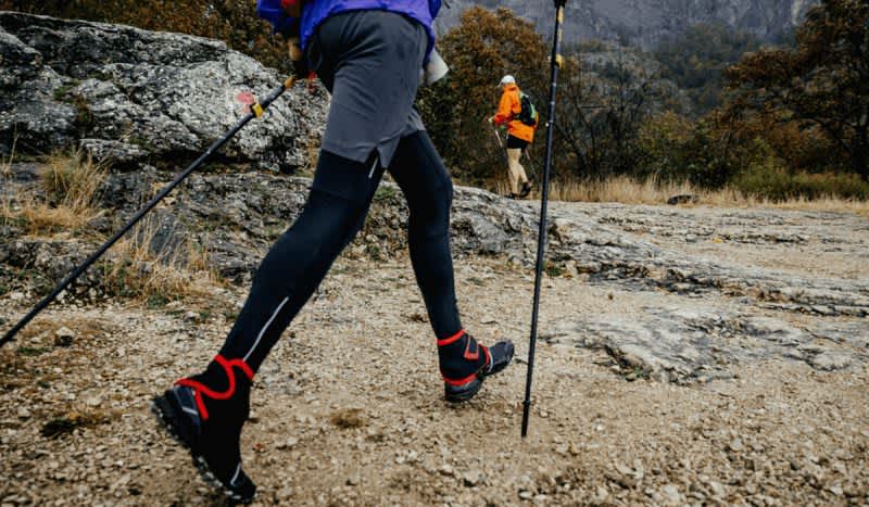 Stay Stable on the Trail with the Best Trekking Poles
