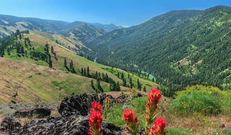 RMEF and Friends to Conserve 15,573 Acres of Elk Habitat in Oregon