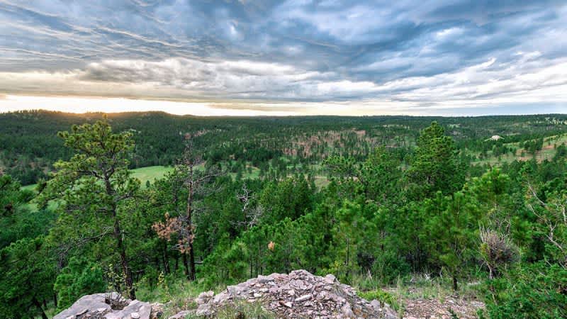 South Dakota Protects 1,000 Acre Elk Habitat With RMEF