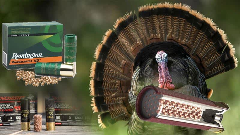 Bagging Birds – The 5 Best Turkey Hunting Loads for Shotguns