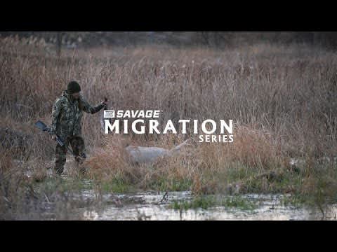 Savage Saturday: Savage Migration Series #1