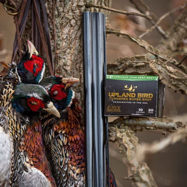 New Upland Bird Tungsten Super Shot Announced by APEX Ammunition