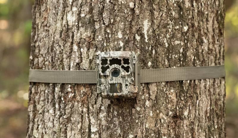 Three NEW Micro Series Cameras Released By Moultrie