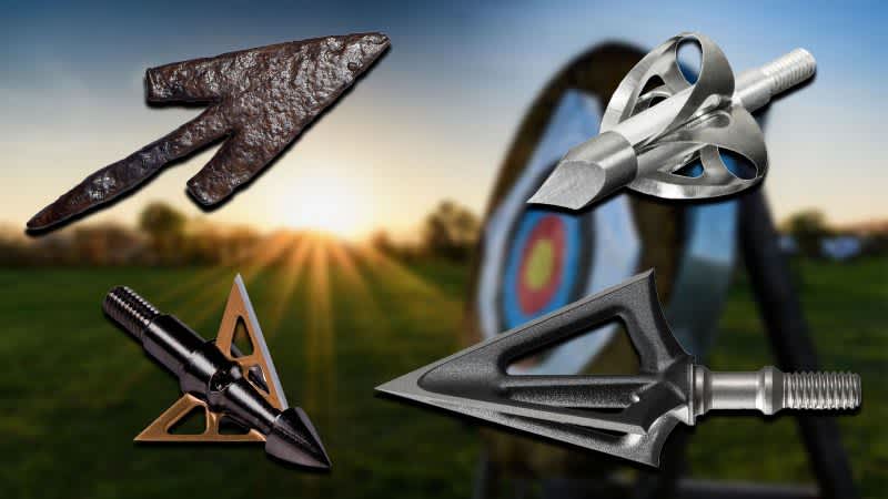 Deadly Points: The Best Broadheads for the 2022 Archery Season