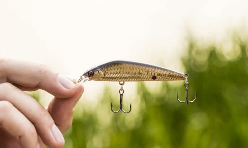 Bassmaster Gear: The Top 5 Baits for Bass Fishing (Artificial)