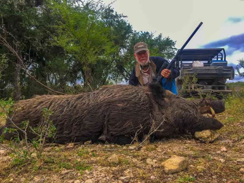 Hog Wild: The 5 Best Hog Hunting Cartridges for 2022