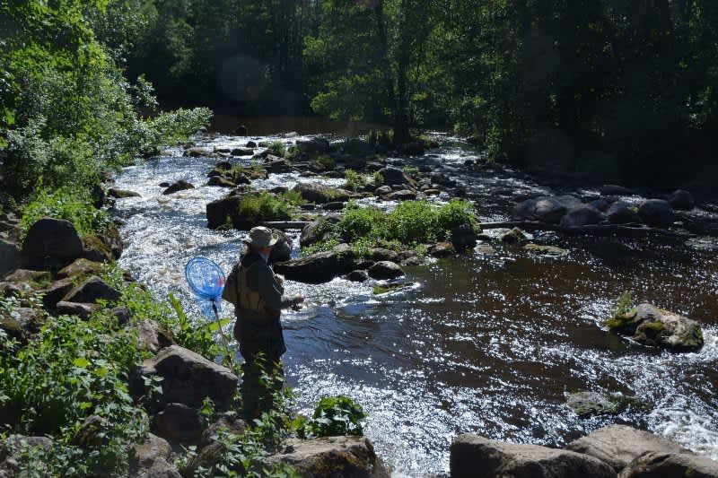 Traveling Anglers: The Best Collapsible Fishing Rods