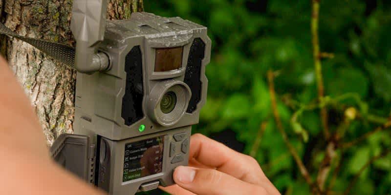 New REVEAL X-Pro Cellular Trail Camera Released by TACTACAM