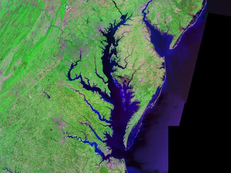 Chesapeake Bay “Dead Zone” Smaller than Average for 2022