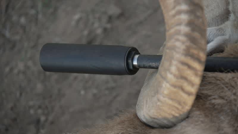 Hands on with the All New Banish Backcountry Suppressor