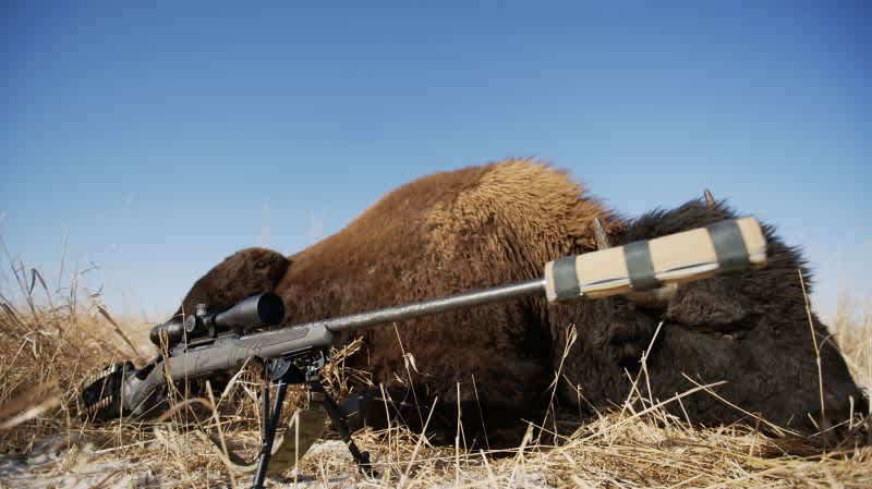 Caçando o Grande Bisonte Americano com o Impulse Mountain Hunter de Savage Arms