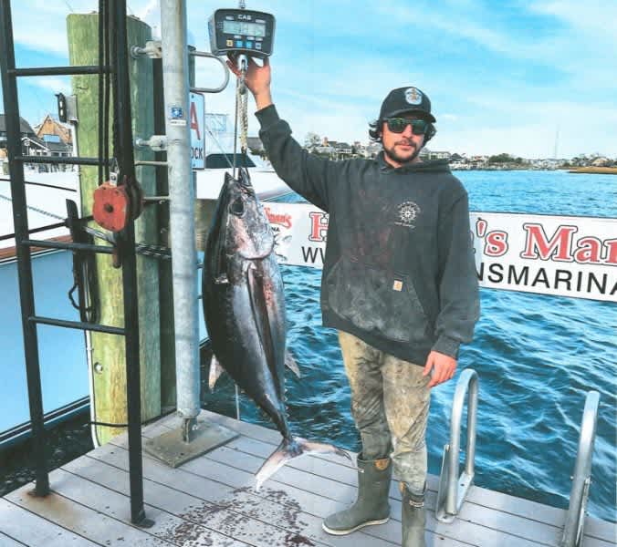 New Record Albacore caught in New Jersey