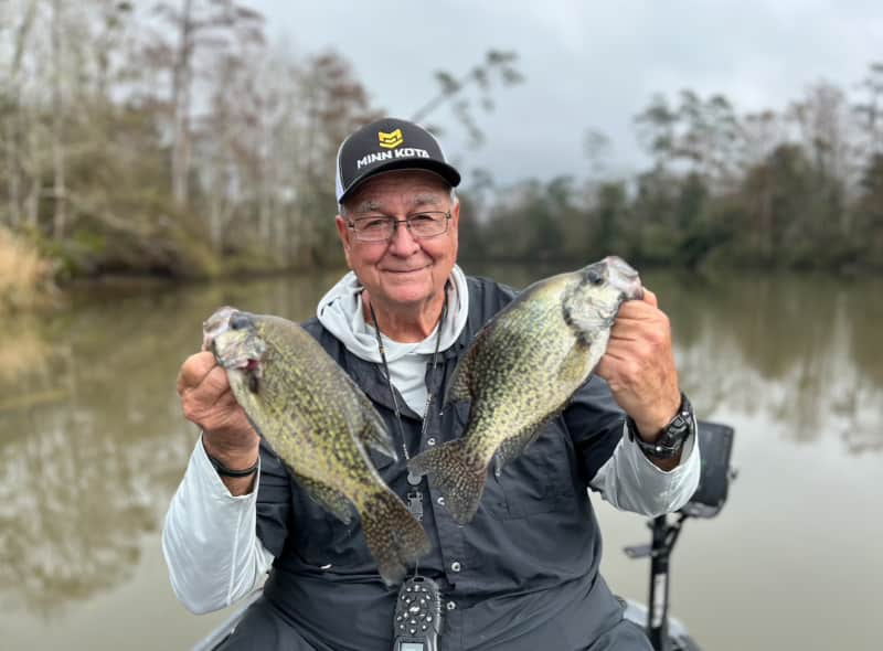 Sac-a-lait Spawn Winding Down in Louisiana